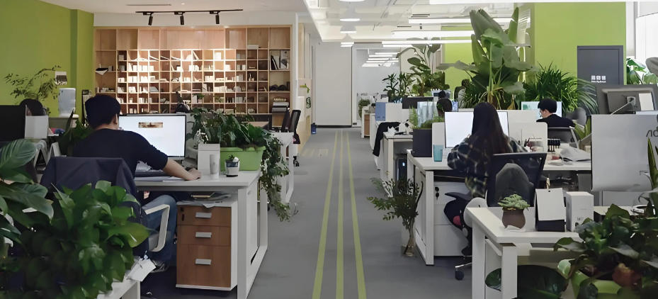 aspcms 程序插件制作工作室轮播图4